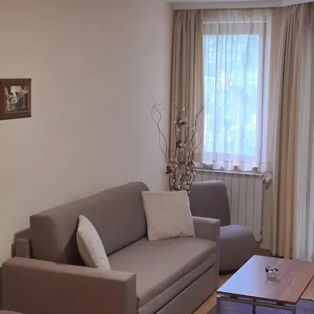 Family 302, Park Borovec